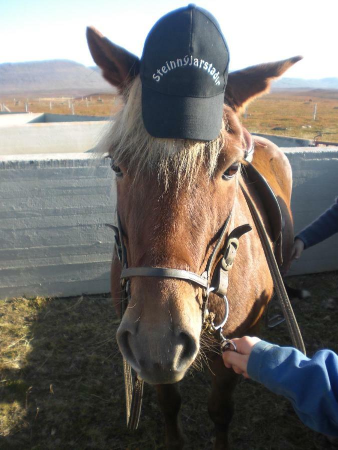 Steinnyjarstathir Skagastrond Kültér fotó